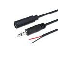 Câble Connecteur / convertisseur de datte personnalisé pour adaptateur audio stéréo